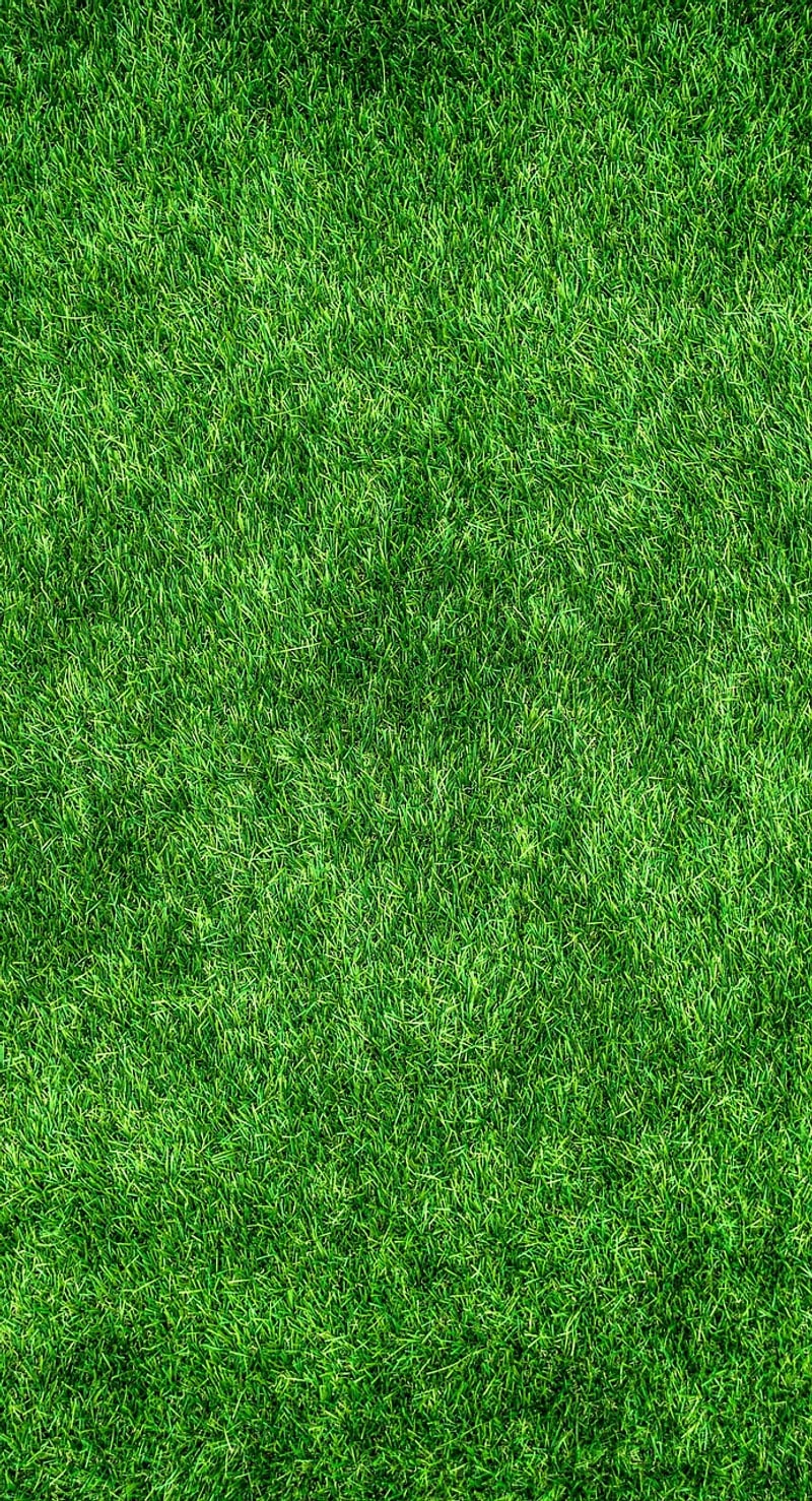 Eco-Friendly Solutions
