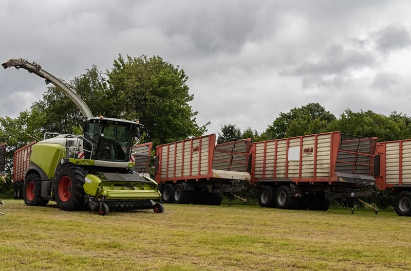 Biogas Production from Organic Waste